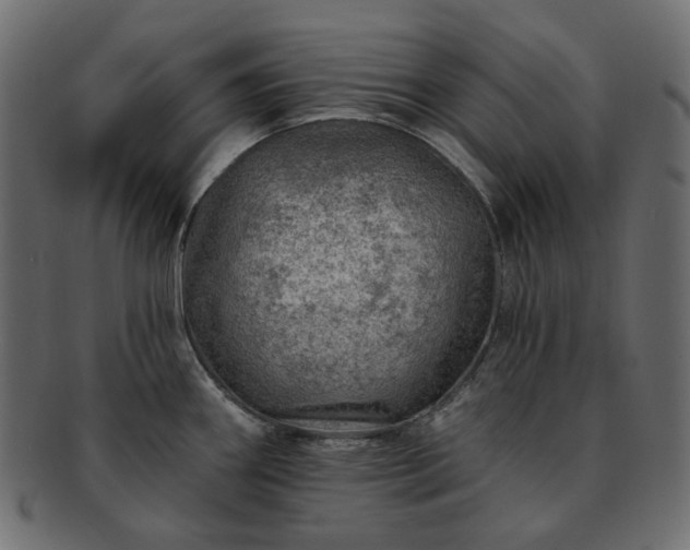 X0000093211290200710031413