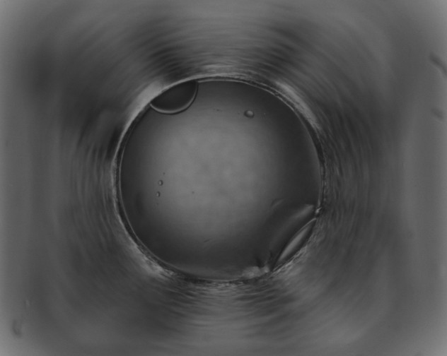 X0000093211291200710031413