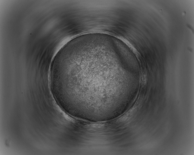 X0000093211294200710031413