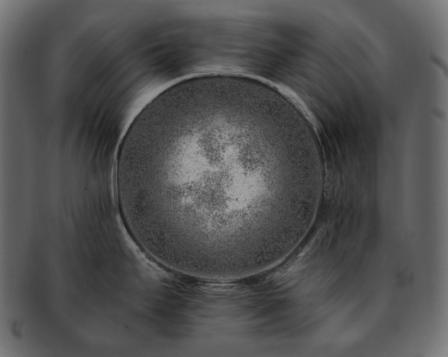 X0000093211295200710031413