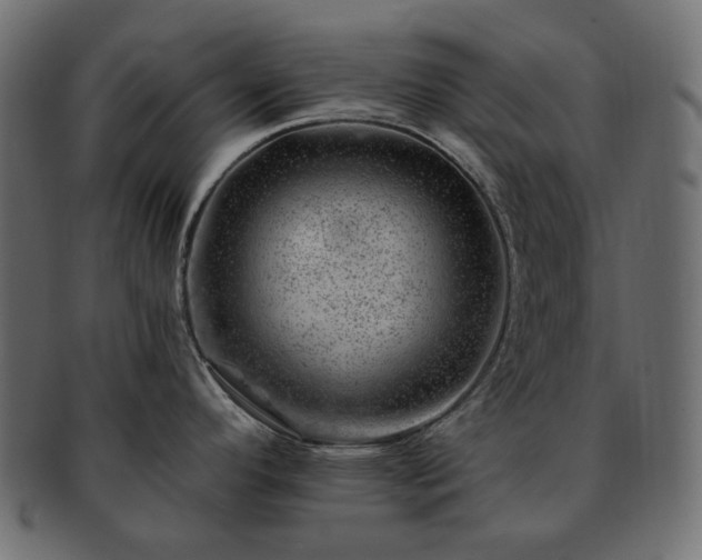 X0000093211296200710031413