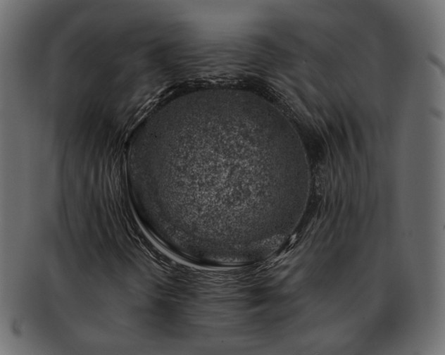 X0000093211298200710031412