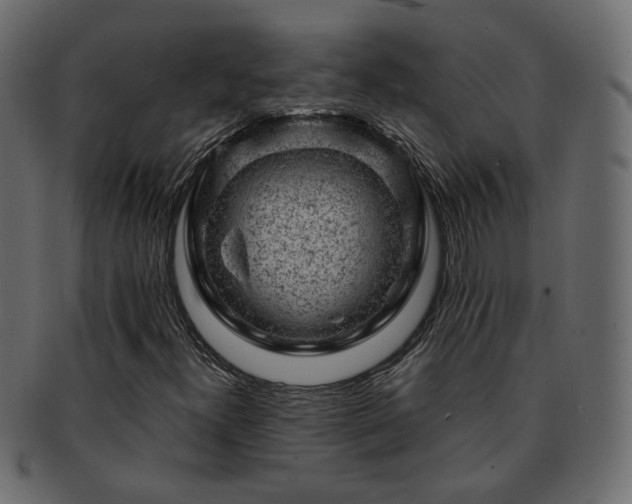 X0000093211300200710031412