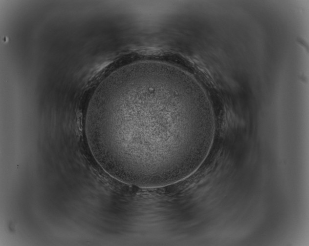 X0000093211301200710031412