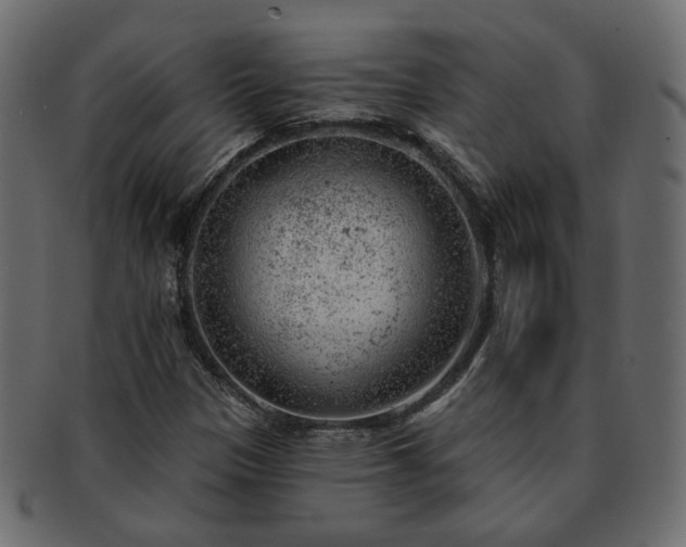X0000093211305200710031412