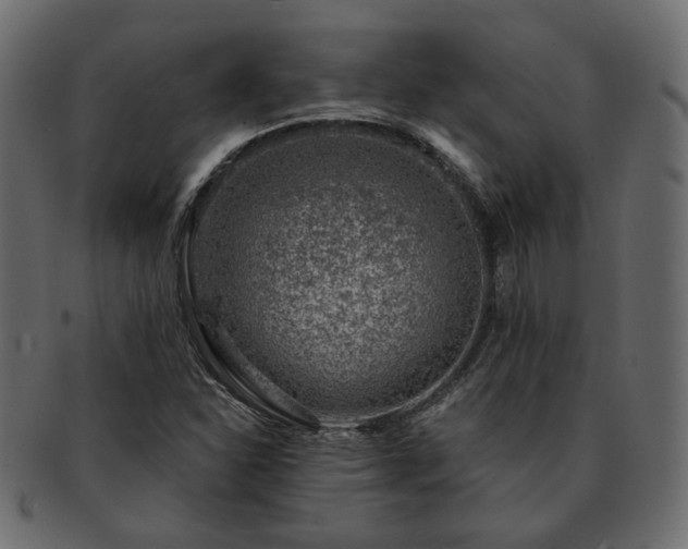 X0000093211310200710031412