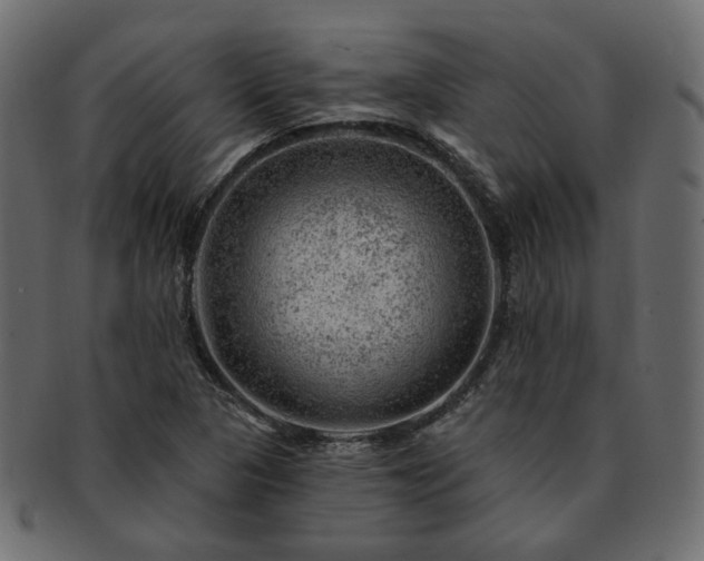 X0000093211313200710031412