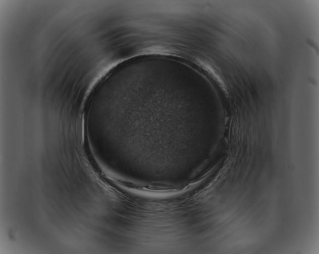 X0000093211323200710031413