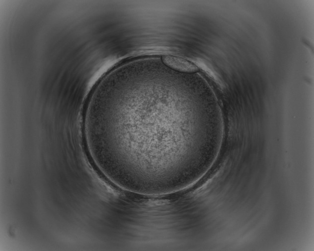 X0000093211325200710031413