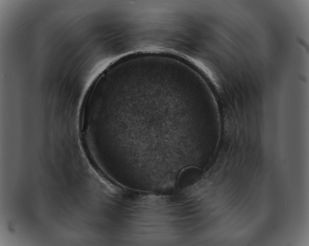 X0000093211327200710031413