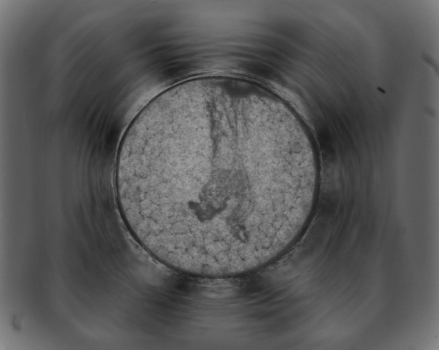 X0000093211338200710031413