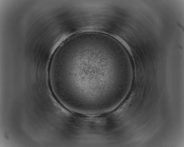 X0000093211341200710031413