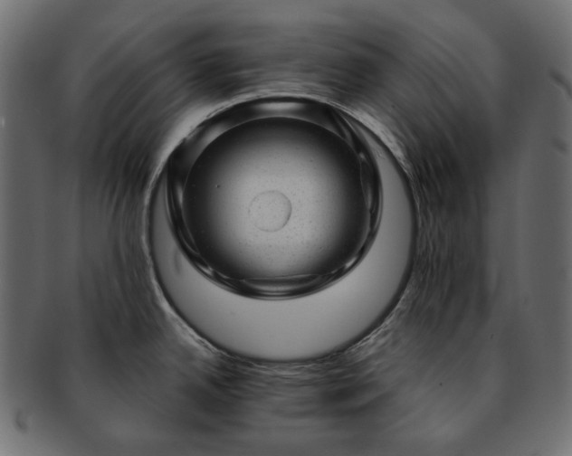 X0000093211342200710031413