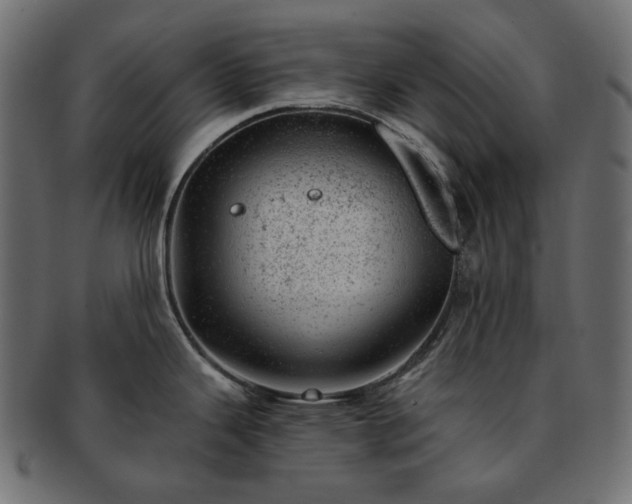 X0000093211343200710031413