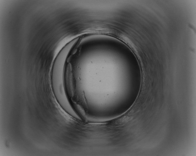 X0000093211344200710031413