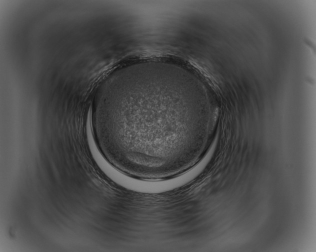X0000093211348200710031412
