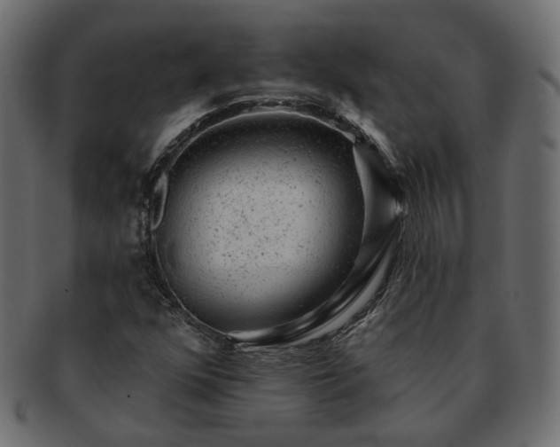X0000093211352200710031412