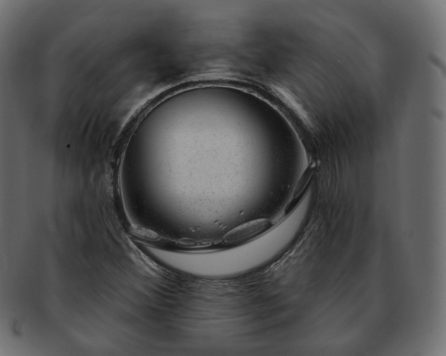 X0000093211356200710031412