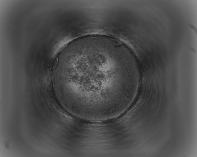 X0000093211359200710031412