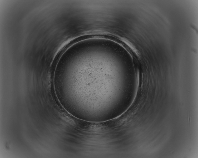 X0000093211364200710031412