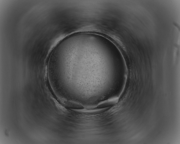 X0000093211366200710031412
