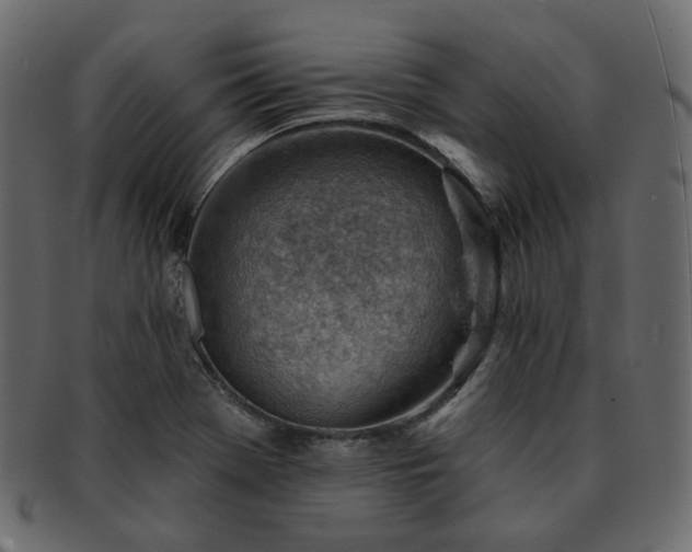 X0000093211369200710031412