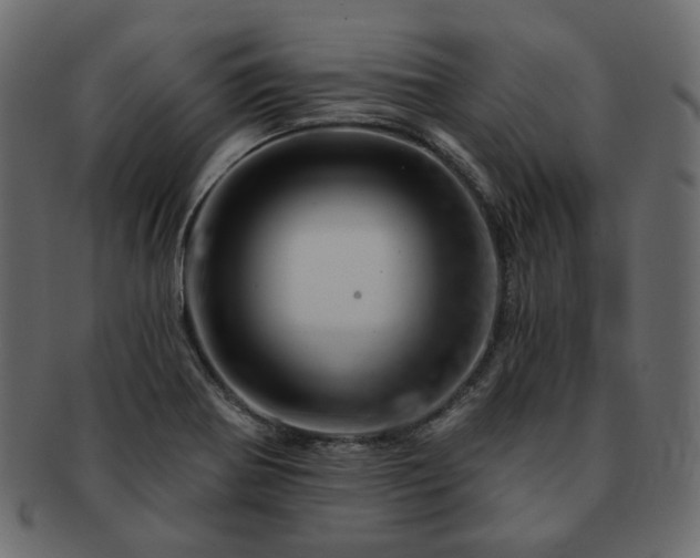 X0000093211370200710031412