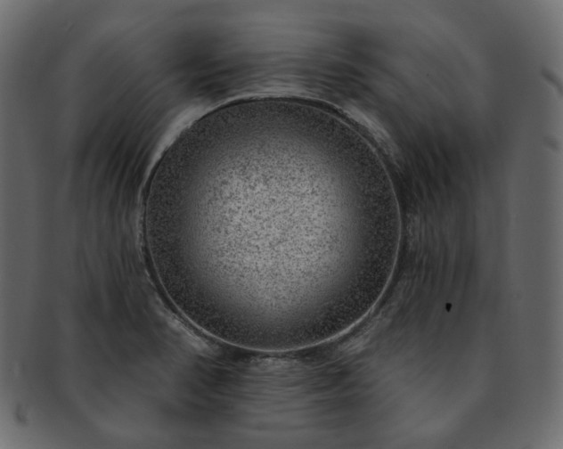 X0000093211374200710031412