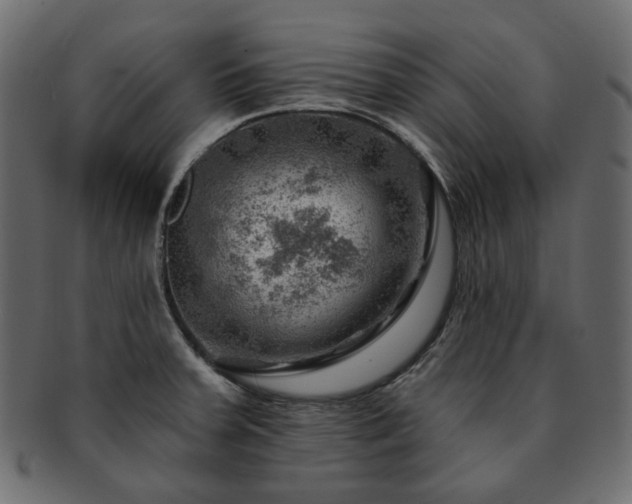 X0000093211379200710031412
