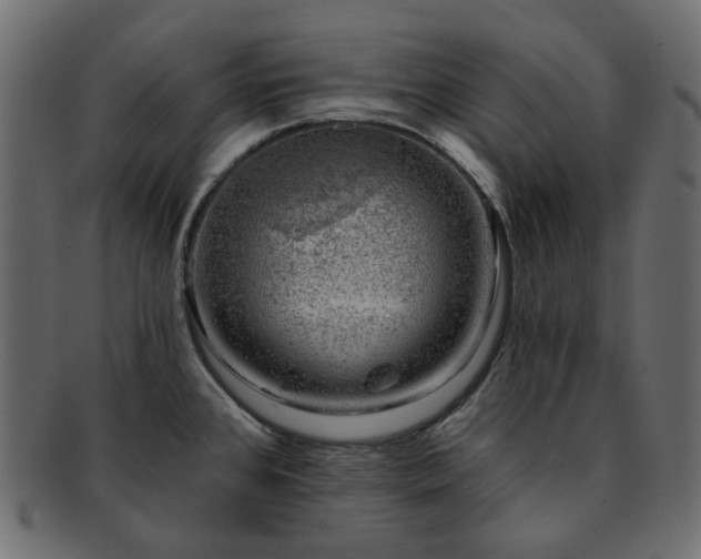 X0000093211384200710031412
