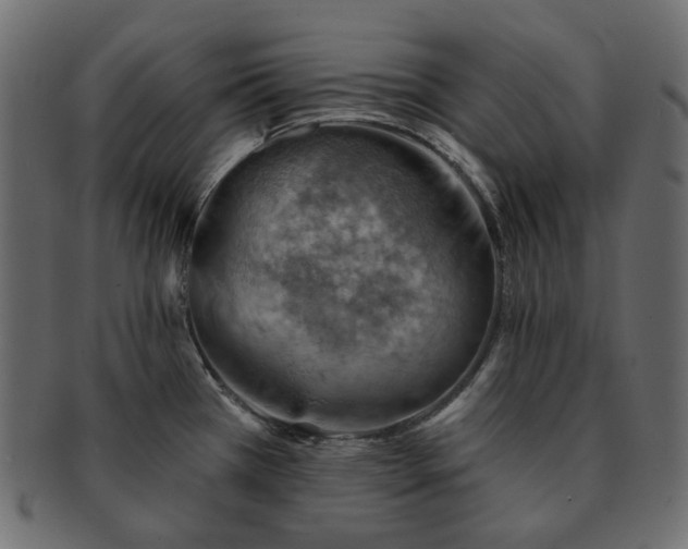X0000093211385200710031412