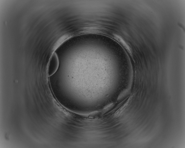 X0000093211386200710031412