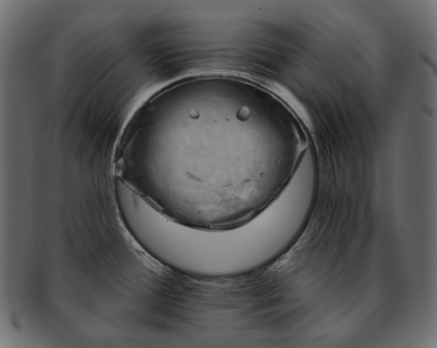 X0000093211388200710031412