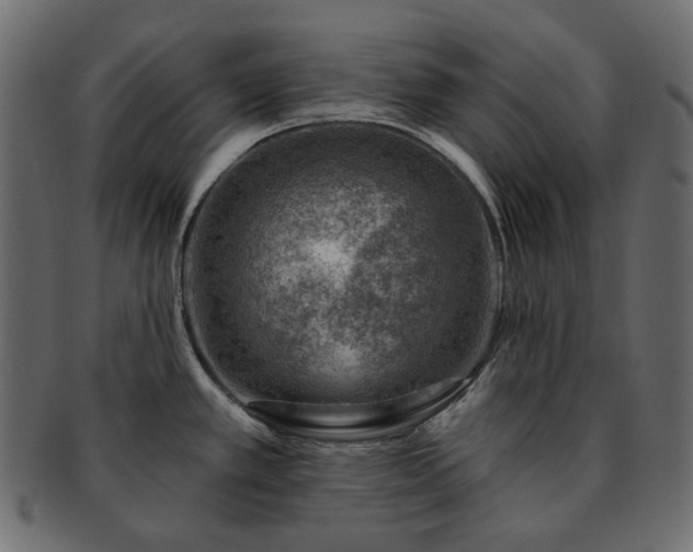X0000093211389200710031412