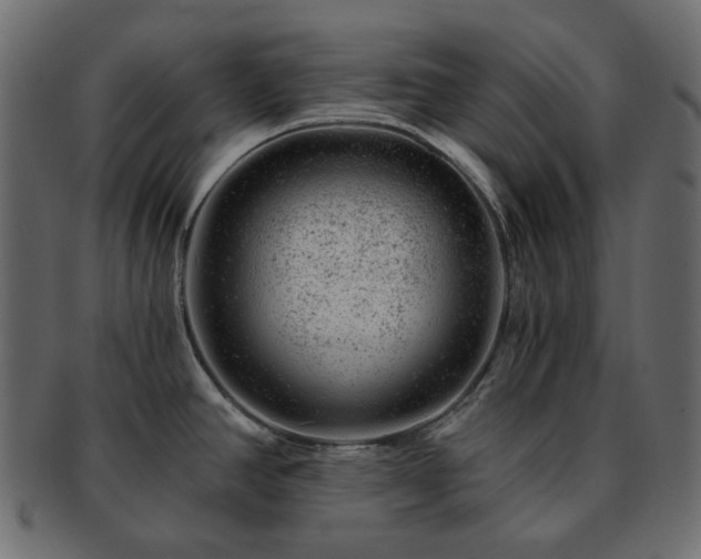 X0000093211390200710031412