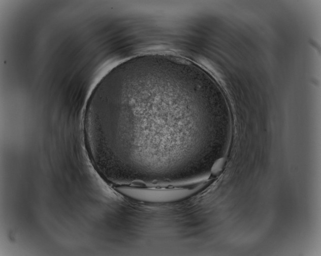 X0000093211392200710031412