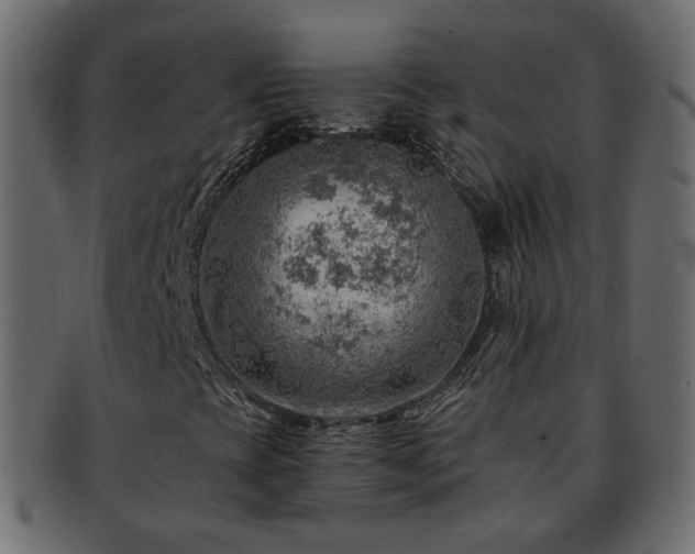 X0000093211393200710031411
