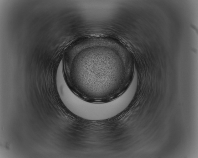 X0000093211394200710031411