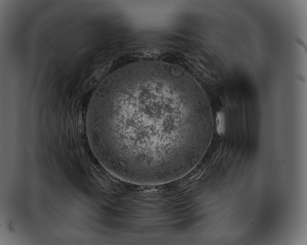 X0000093211395200710031411