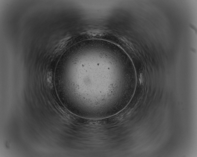 X0000093211396200710031411