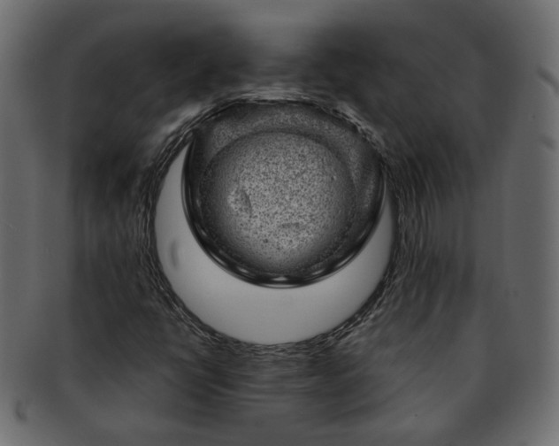 X0000093211398200710031411