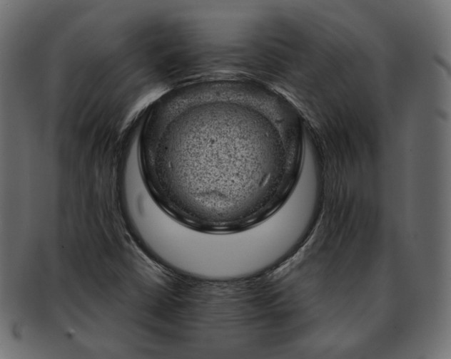 X0000093211402200710031411