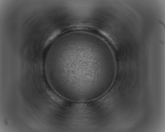 X0000093211403200710031411