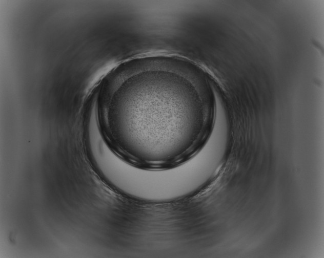 X0000093211406200710031411