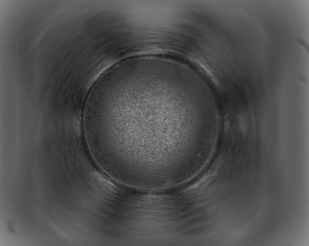 X0000093211409200710031411