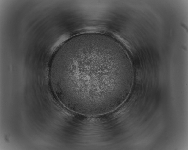 X0000093211411200710031411