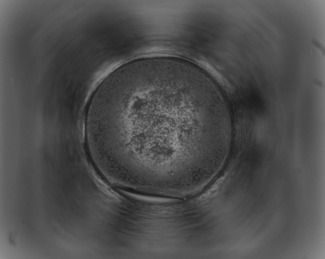 X0000093211413200710031411