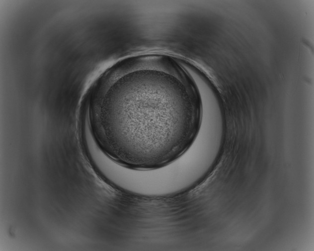 X0000093211414200710031411
