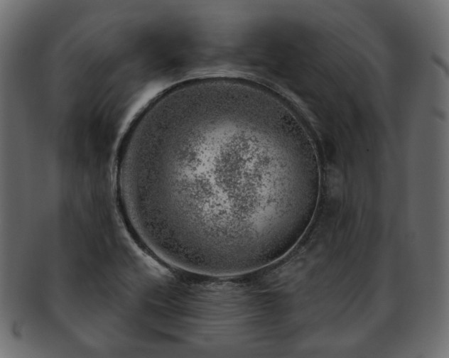 X0000093211416200710031411