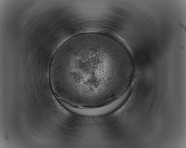 X0000093211417200710031411